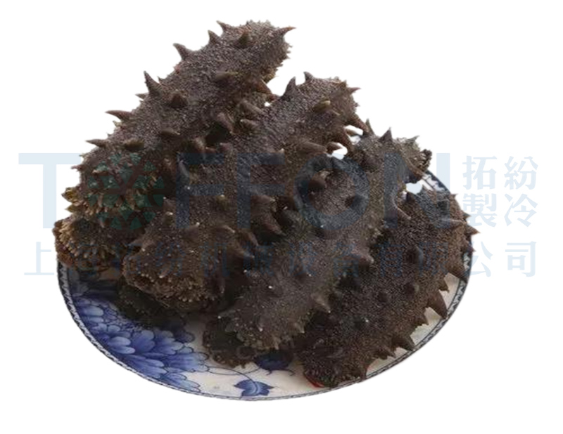 海參凍干,海鮮食品凍干技術應用于海參凍干