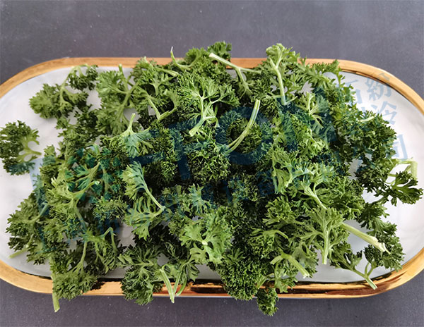 冷凍干燥機|凍干機|真空冷凍干燥機|大型冷凍干燥機|食品凍干機|制藥真空冷凍干燥機|食品凍干設備|制藥冷凍干燥機