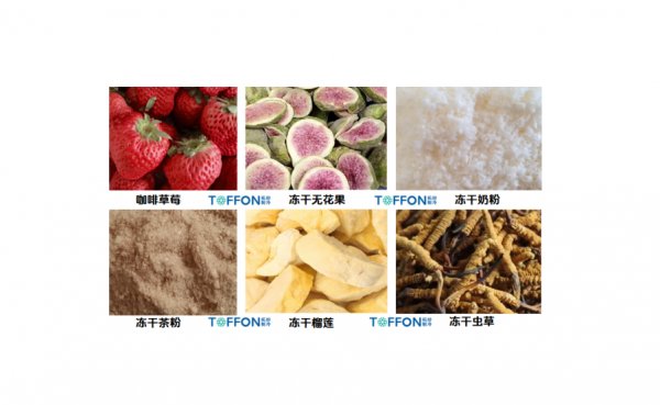 冷凍干燥機凍干工藝的優化