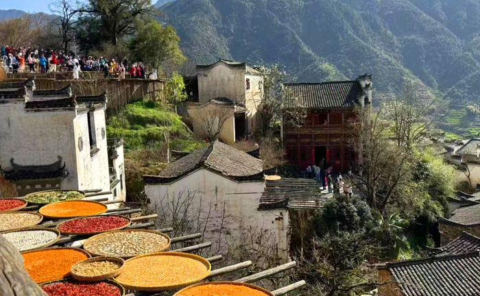 【玩轉(zhuǎn)郴州】長沙·高椅嶺·郴州長卷·莽山國家森林公園·東江湖風(fēng)景區(qū)*·安陵書院·裕后街自由打卡 2 飛 6 日游