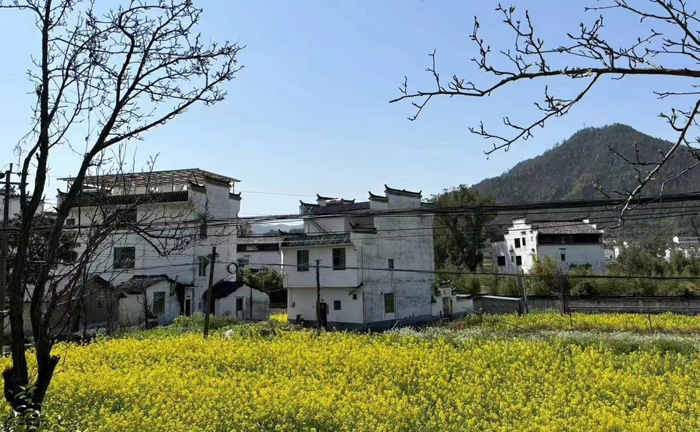 【悅色江西】登廬山、三清山、篁嶺梯田花海、觀仙俠望仙谷夜景、賞演出遇見婺源、夜宿婺女洲雙飛6日 